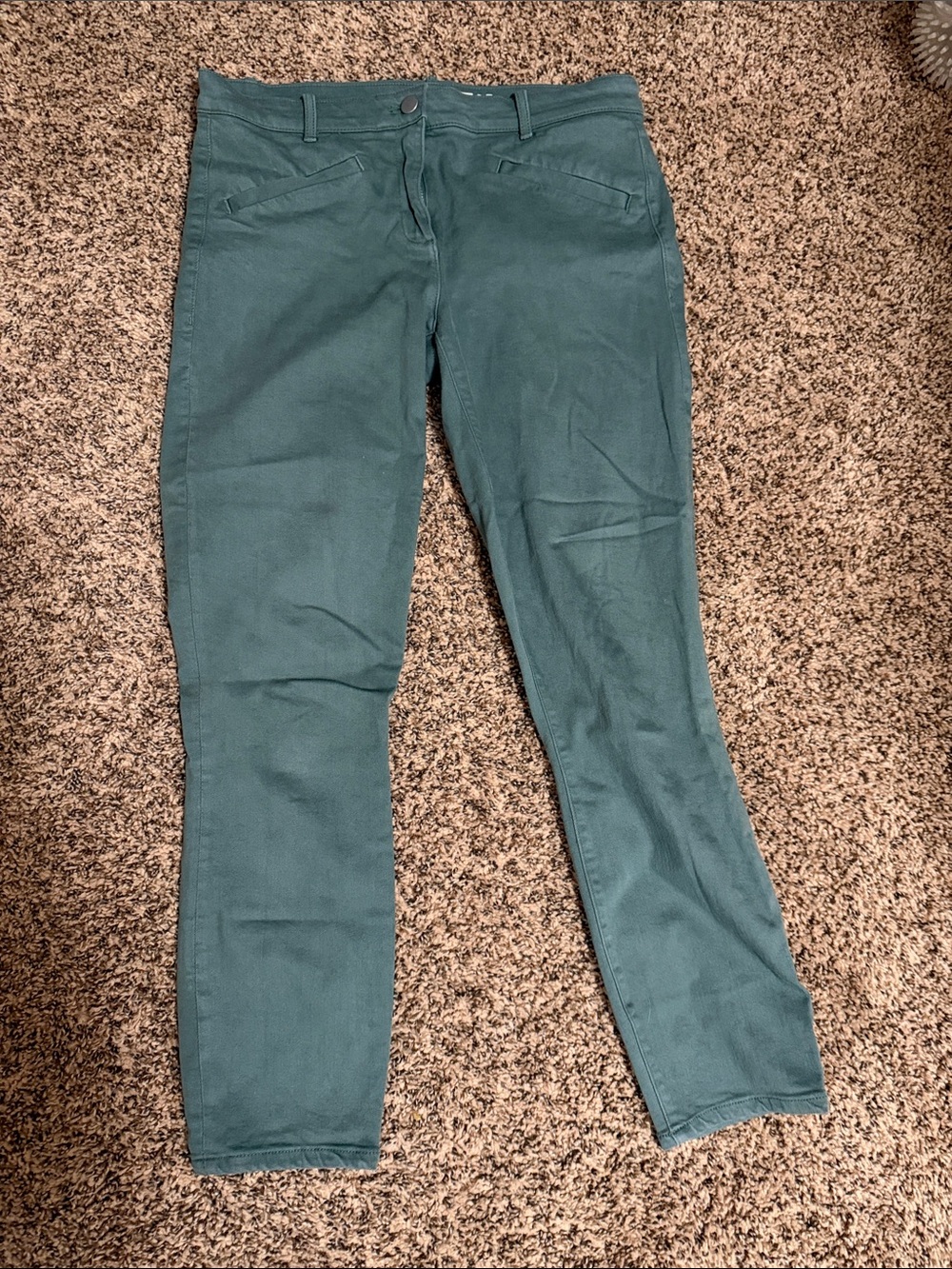 GAP Skinny Ponte Pants